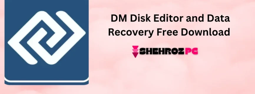 DM Disk Editor and Data Recovery Free Download 4.2.0.814