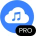 4K YouTube To MP3 Pro Shehrozpc