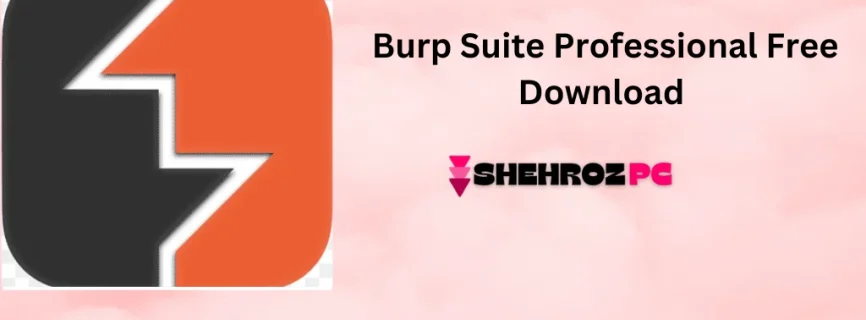 Burp Suite Professional 2024.6.5