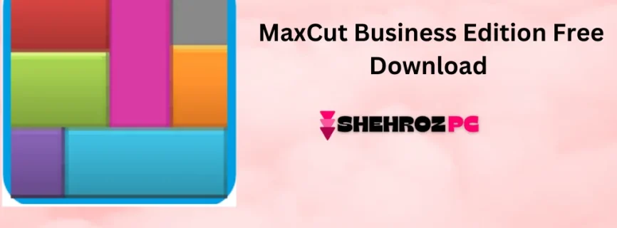 MaxCut Business Edition Free Download 2.9.3.2