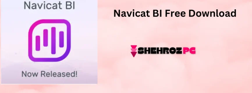 Navicat BI Free Download 2.0.10