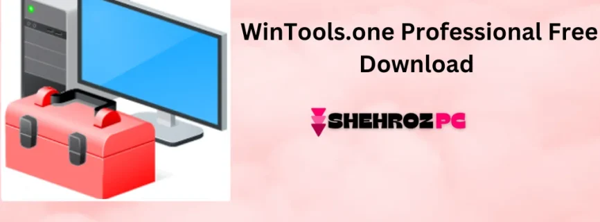 WinTools.one Professional Free Download 24.8.1